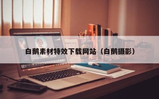 武义县白鹅素材特效下载网站（白鹅摄影）